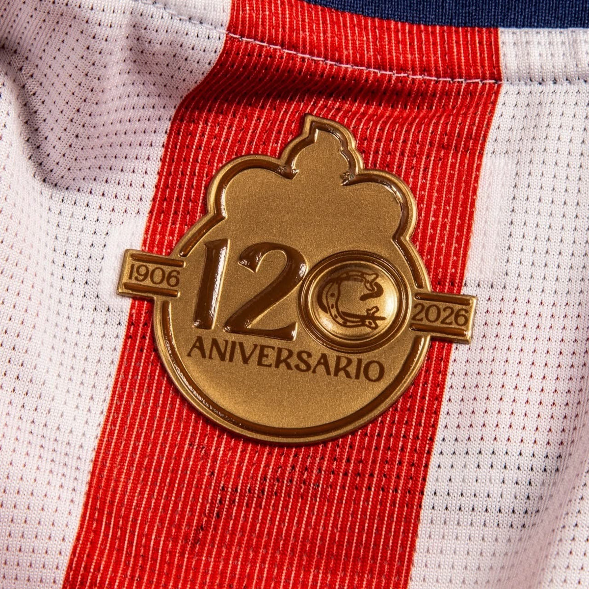Jersey - Chivas aniversario